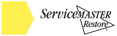 Courier Franchise