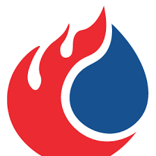 FRSTeam